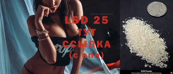 мдпв Бородино