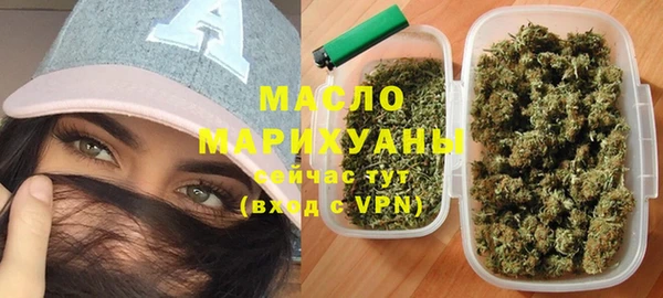 мдпв Бородино