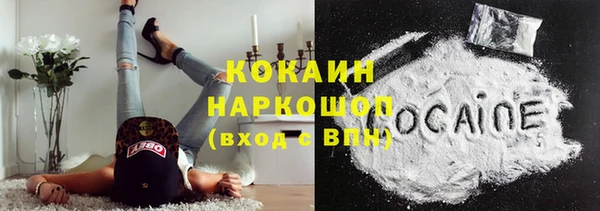 мдпв Бородино