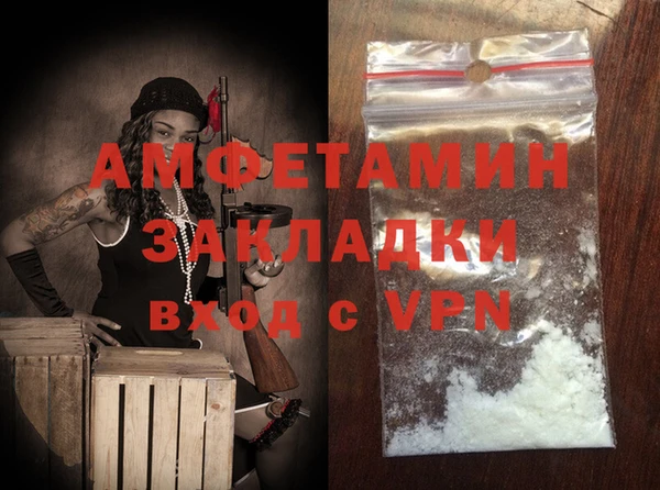 мдпв Бородино